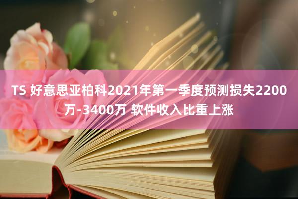 TS 好意思亚柏科2021年第一季度预测损失2200万-3400万 软件收入比重上涨