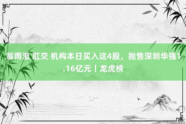 翁雨澄 肛交 机构本日买入这4股，抛售深圳华强1.16亿元丨龙虎榜