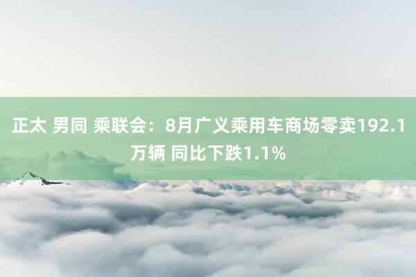 正太 男同 乘联会：8月广义乘用车商场零卖192.1万辆 同比下跌1.1%