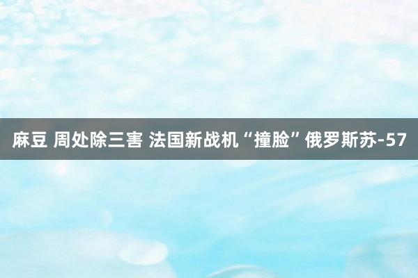 麻豆 周处除三害 法国新战机“撞脸”俄罗斯苏-57