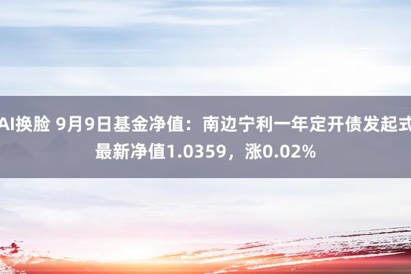 AI换脸 9月9日基金净值：南边宁利一年定开债发起式最新净值1.0359，涨0.02%