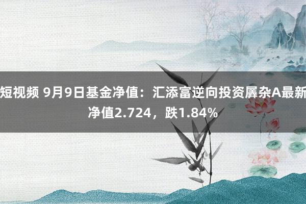 短视频 9月9日基金净值：汇添富逆向投资羼杂A最新净值2.724，跌1.84%