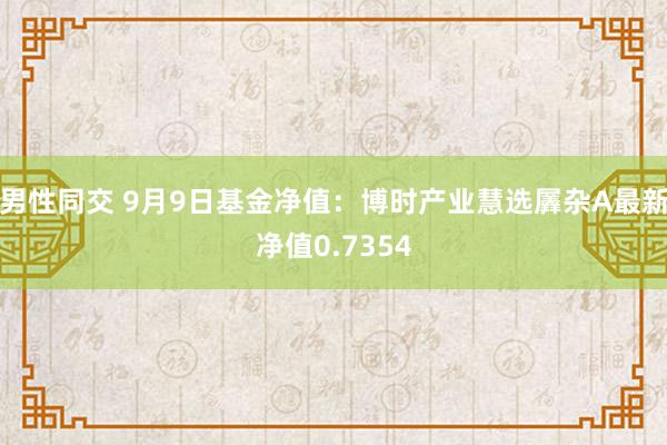 男性同交 9月9日基金净值：博时产业慧选羼杂A最新净值0.7354