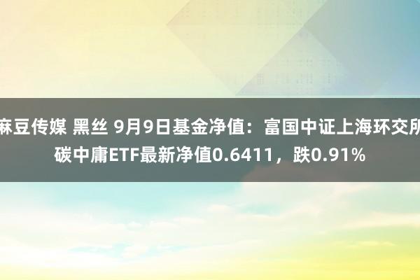 麻豆传媒 黑丝 9月9日基金净值：富国中证上海环交所碳中庸ETF最新净值0.6411，跌0.91%