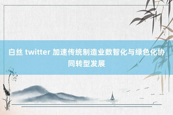 白丝 twitter 加速传统制造业数智化与绿色化协同转型发展