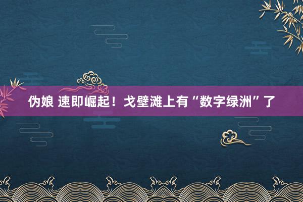 伪娘 速即崛起！戈壁滩上有“数字绿洲”了