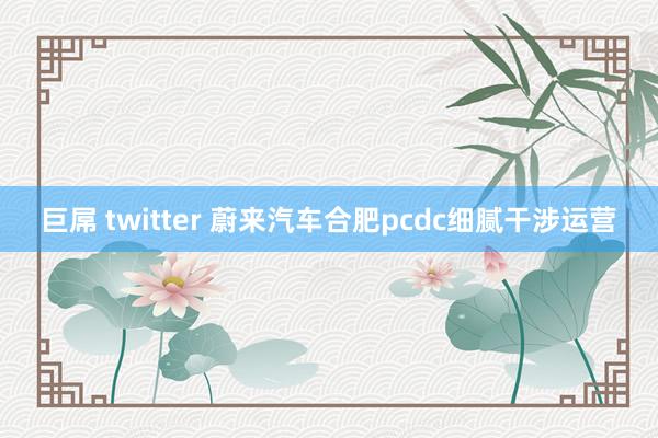 巨屌 twitter 蔚来汽车合肥pcdc细腻干涉运营