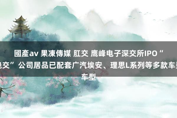 國產av 果凍傳媒 肛交 鹰峰电子深交所IPO“绝交” 公司居品已配套广汽埃安、理思L系列等多款车型