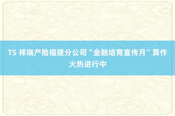 TS 祥瑞产险福建分公司“金融培育宣传月”算作火热进行中