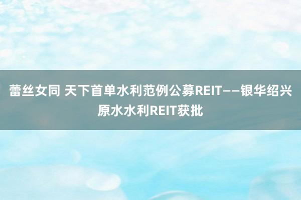 蕾丝女同 天下首单水利范例公募REIT——银华绍兴原水水利REIT获批