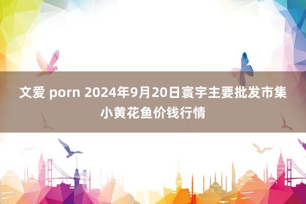 文爱 porn 2024年9月20日寰宇主要批发市集小黄花鱼价钱行情