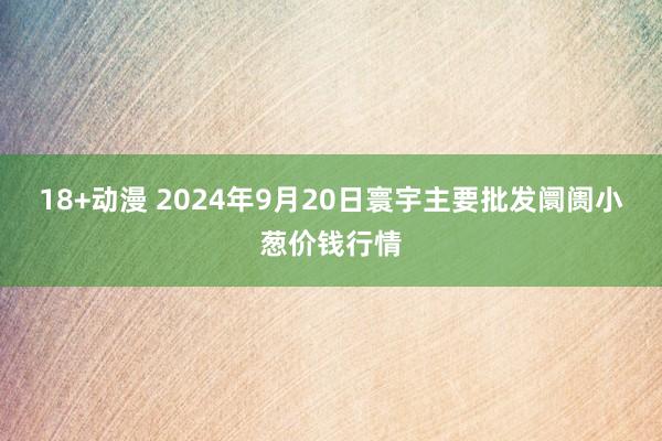 18+动漫 2024年9月20日寰宇主要批发阛阓小葱价钱行情