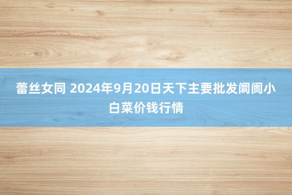 蕾丝女同 2024年9月20日天下主要批发阛阓小白菜价钱行情