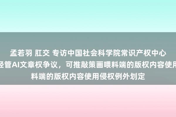 孟若羽 肛交 专访中国社会科学院常识产权中心主任管育鹰：经管AI文章权争议，可推敲策画喂料端的版权内容使用侵权例外划定