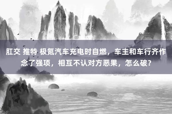 肛交 推特 极氪汽车充电时自燃，车主和车行齐作念了强项，相互不认对方恶果，怎么破？