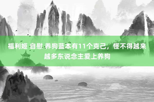 福利姬 自慰 养狗蓝本有11个克己，怪不得越来越多东说念主爱上养狗