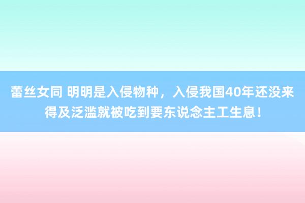 蕾丝女同 明明是入侵物种，入侵我国40年还没来得及泛滥就被吃到要东说念主工生息！