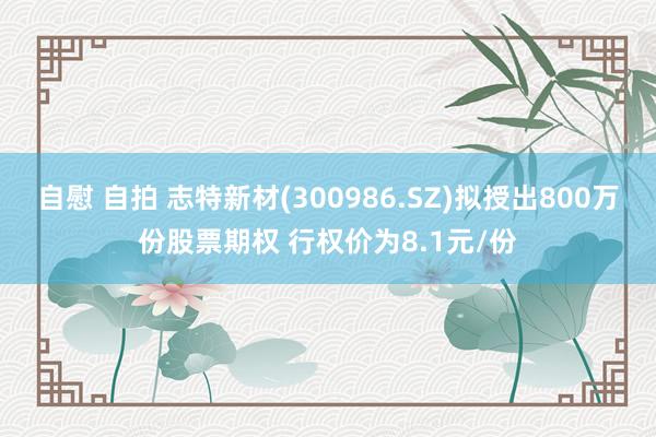 自慰 自拍 志特新材(300986.SZ)拟授出800万份股票期权 行权价为8.1元/份