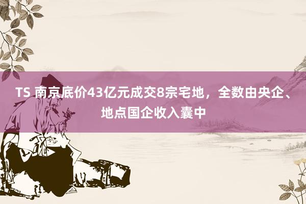 TS 南京底价43亿元成交8宗宅地，全数由央企、地点国企收入囊中