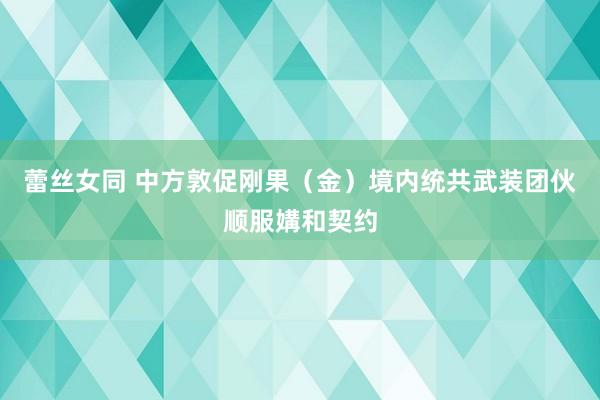 蕾丝女同 中方敦促刚果（金）境内统共武装团伙顺服媾和契约