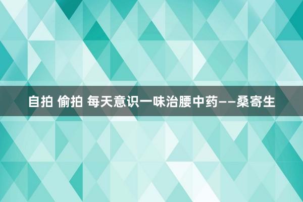 自拍 偷拍 每天意识一味治腰中药——桑寄生