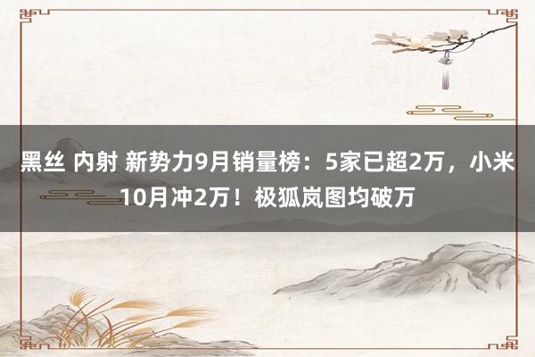 黑丝 内射 新势力9月销量榜：5家已超2万，小米10月冲2万！极狐岚图均破万