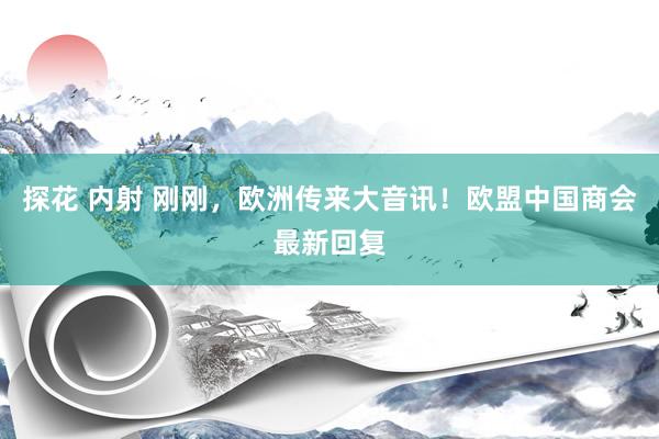 探花 内射 刚刚，欧洲传来大音讯！欧盟中国商会最新回复