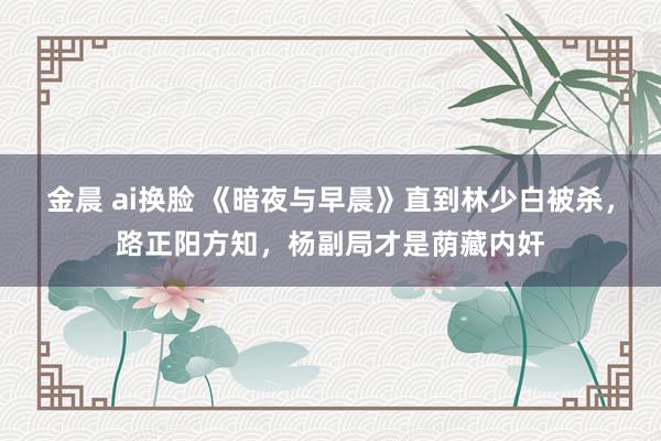 金晨 ai换脸 《暗夜与早晨》直到林少白被杀，路正阳方知，杨副局才是荫藏内奸