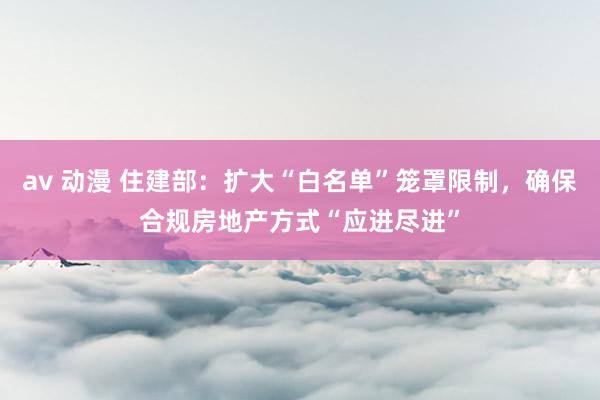 av 动漫 住建部：扩大“白名单”笼罩限制，确保合规房地产方式“应进尽进”