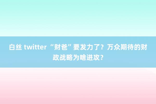 白丝 twitter “财爸”要发力了？万众期待的财政战略为啥进攻？