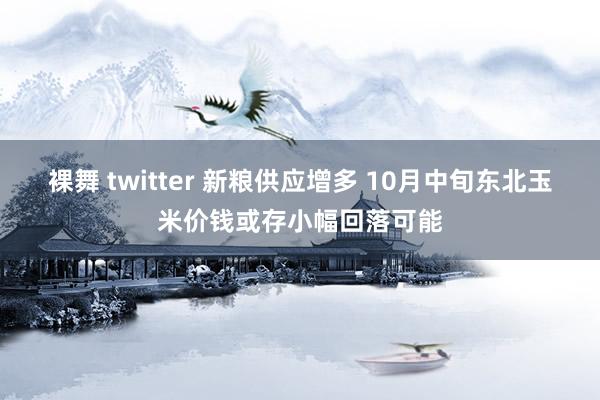 裸舞 twitter 新粮供应增多 10月中旬东北玉米价钱或存小幅回落可能