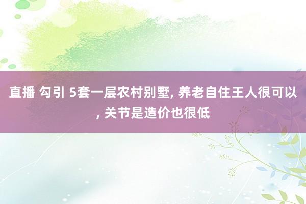 直播 勾引 5套一层农村别墅， 养老自住王人很可以， 关节是造价也很低