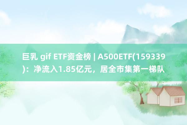 巨乳 gif ETF资金榜 | A500ETF(159339)：净流入1.85亿元，居全市集第一梯队