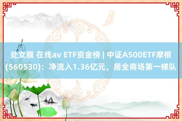 处女膜 在线av ETF资金榜 | 中证A500ETF摩根(560530)：净流入1.36亿元，居全商场第一梯队