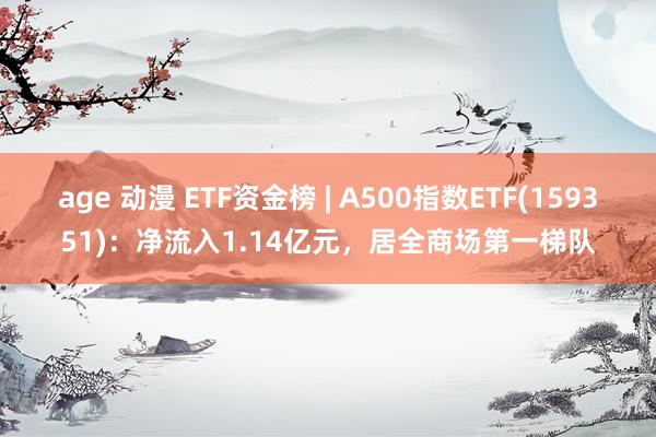 age 动漫 ETF资金榜 | A500指数ETF(159351)：净流入1.14亿元，居全商场第一梯队