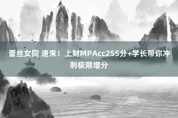 蕾丝女同 速来！上财MPAcc255分+学长带你冲刺极限增分