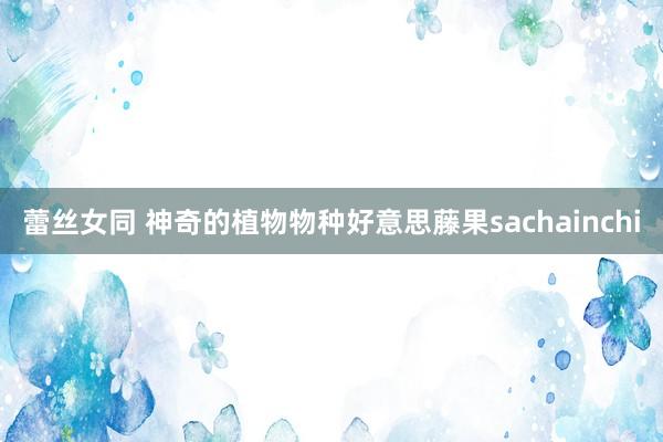 蕾丝女同 神奇的植物物种好意思藤果sachainchi