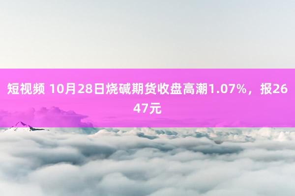 短视频 10月28日烧碱期货收盘高潮1.07%，报2647元