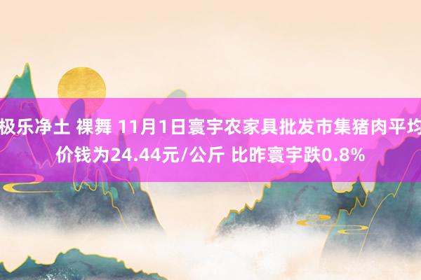 极乐净土 裸舞 11月1日寰宇农家具批发市集猪肉平均价钱为24.44元/公斤 比昨寰宇跌0.8%