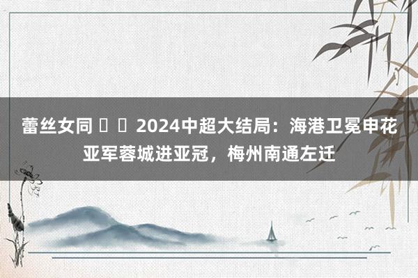 蕾丝女同 ⭐️2024中超大结局：海港卫冕申花亚军蓉城进亚冠，梅州南通左迁