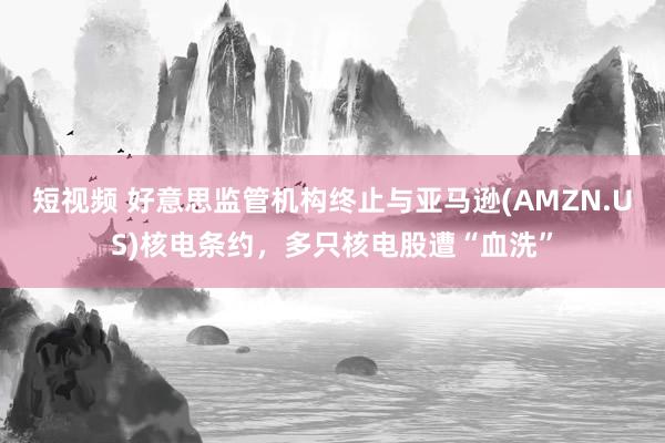 短视频 好意思监管机构终止与亚马逊(AMZN.US)核电条约，多只核电股遭“血洗”