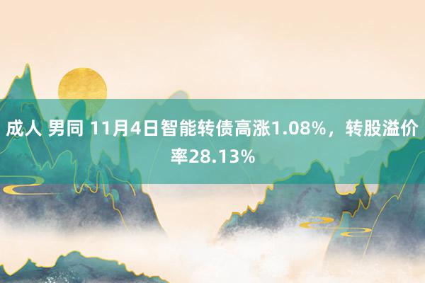 成人 男同 11月4日智能转债高涨1.08%，转股溢价率28.13%