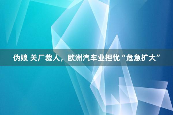 伪娘 关厂裁人，欧洲汽车业担忧“危急扩大”