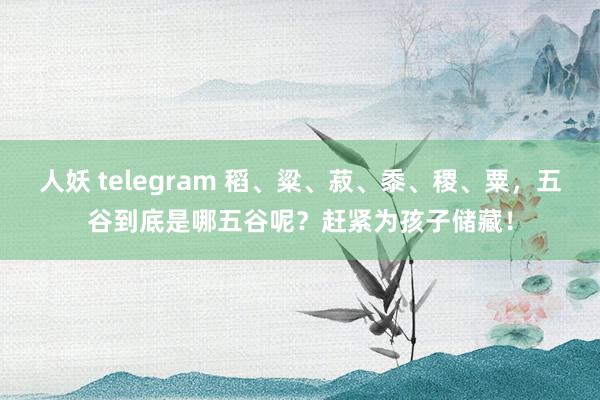 人妖 telegram 稻、粱、菽、黍、稷、粟，五谷到底是哪五谷呢？赶紧为孩子储藏！