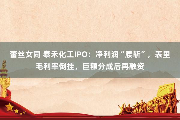 蕾丝女同 泰禾化工IPO：净利润“腰斩”，表里毛利率倒挂，巨额分成后再融资