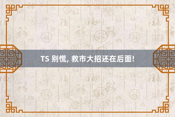 TS 别慌， 救市大招还在后面!