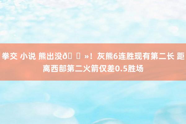 拳交 小说 熊出没🐻！灰熊6连胜现有第二长 距离西部第二火箭仅差0.5胜场