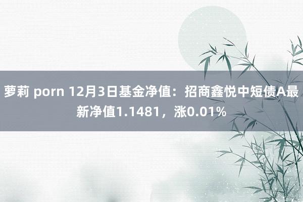 萝莉 porn 12月3日基金净值：招商鑫悦中短债A最新净值1.1481，涨0.01%