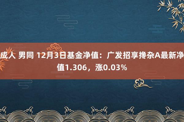 成人 男同 12月3日基金净值：广发招享搀杂A最新净值1.306，涨0.03%