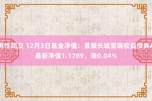 男性同交 12月3日基金净值：景顺长城景瑞收益债券A最新净值1.1789，涨0.04%